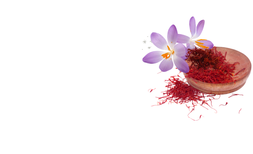 dry fruits in germany 1 bacola