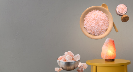 dry fruits in germany 28 banner